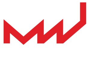 logo van Metalon